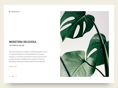 Indoor Plants article article preview editorial exploration layout magazine preview split split layout