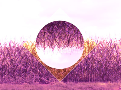 Polyscape crops abstract creative crops design magenta photo manipulation photography pink polyscape reflect yellow