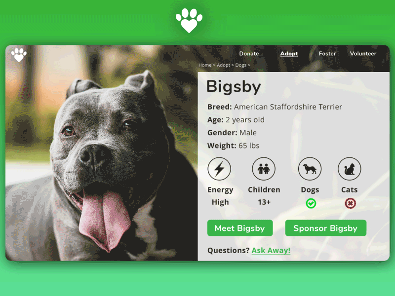 Daily UI #3 animal shelter dailyui landing page logo logo design