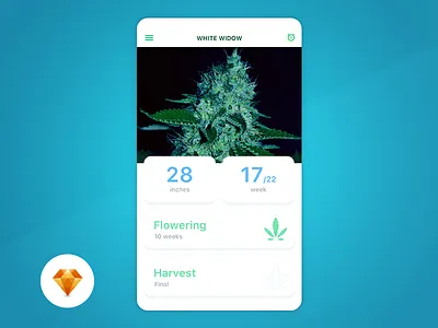 Grow Box - Day94 My UI/UX Free SketchApp Challenge app challenge day 100 grow harvest marijuana mobile sketchapp ui ux