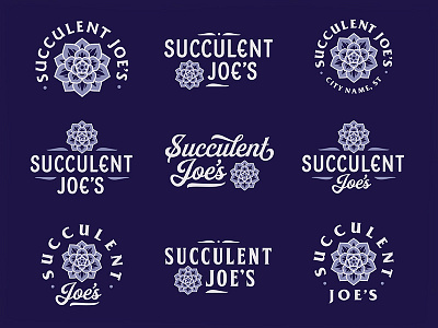 Succulent Joe's badge flower succulent type