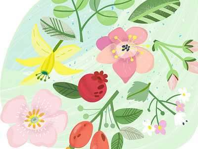 Floral muse floral flowers marushabelle spring