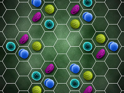 Micro-Versus (Detail of Level 3) bacteria game game dev ludum dare video game