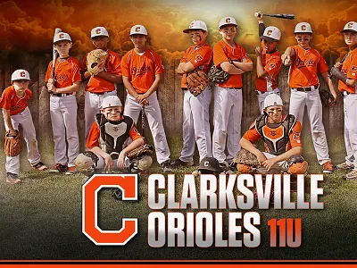 Baseball Dugout Banner banner baseball little league