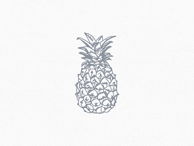 Pineapple charleston illustration pineapple