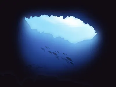 seabed seabed sunshine