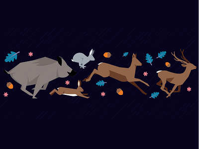 Wild animals in a race animal deer doe rabbit wild boar