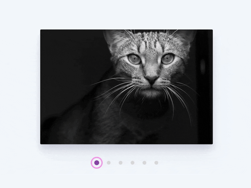 SVG Line Morphing Transition animation line morphing svg