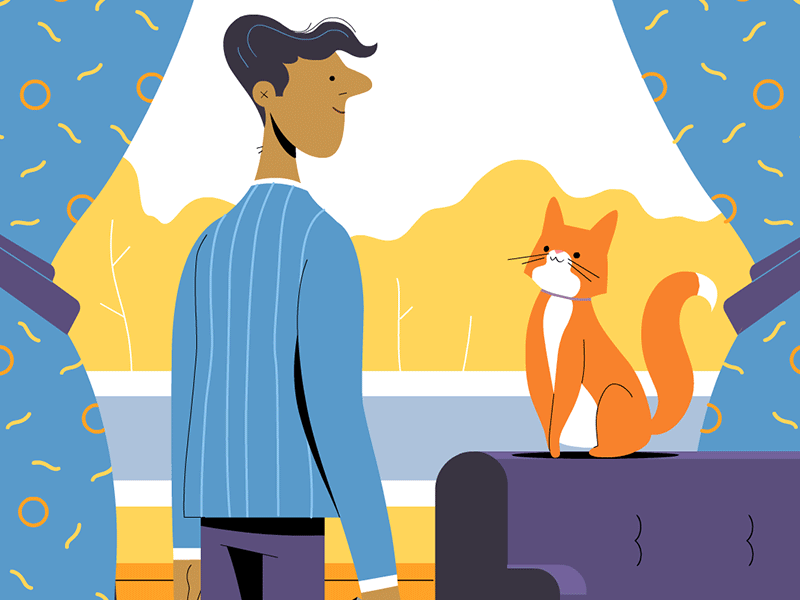 The Wait animation cat colour design gif illustration