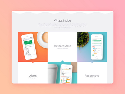 Features Panel features gradient ui web web design