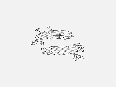 Growing Roots hands logo organic photography branding plants