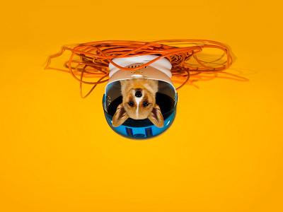 Pupside Down art direction astronaut bright color corgi leadpages photo photo manipulation photography pup vibrant