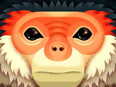 The Douc anano animal close up douc face geometric grumpy monkey sad texture