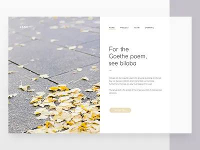 Pure World - 2 ui web