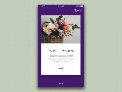 Giftdisk Principle — Parallax Effect animation app download flower gift interaction parallax psd sketch ui uiux ux