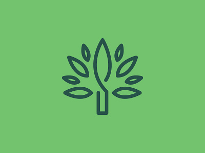 WIP Church Identity, exhibit 2 branding church growth identity jesus leaf leaves logo mark oak s tree