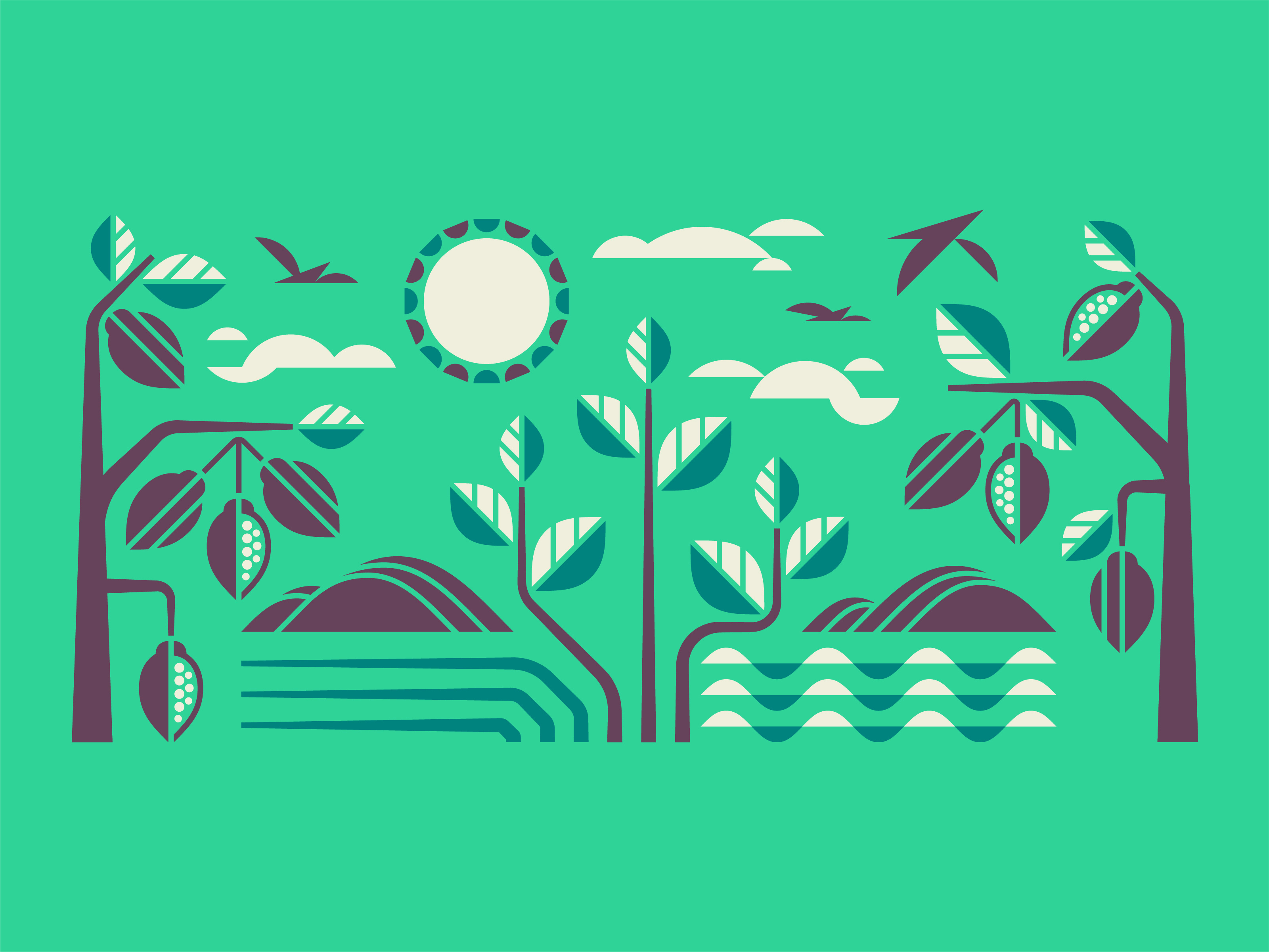 TWC 13 abstract cacao chocolate cocoa geometric green leaf natural organic shapes simple tea