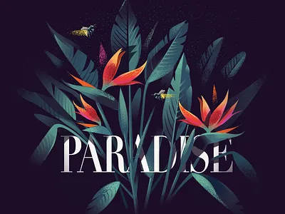 Paradise - Prints birds paradise fireflies flora illustration prints project texture