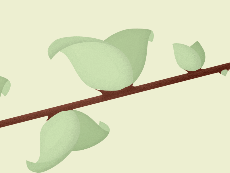 Spring Buds Graphics Spring bud by Cornelia Ryås on Dribbble