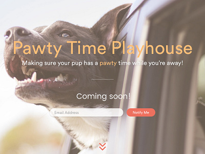 Daily UI #048 : Coming Soon bright happy light puppies teaser ui webpage