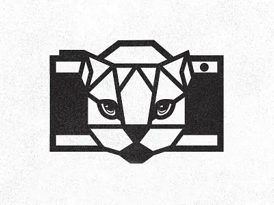 CAT-lyn Photography black and white brand identity branding camera canon cat geometric illustration logo design concept nikon photography photo type custom typography vector logomark logotype