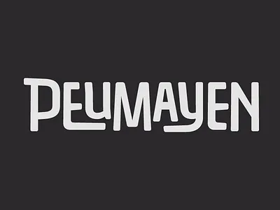 Type experiment art chile design latinoamerican lettering script type typography vernacular