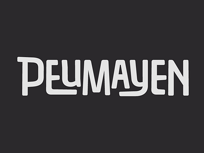 Type experiment art chile design latinoamerican lettering script type typography vernacular