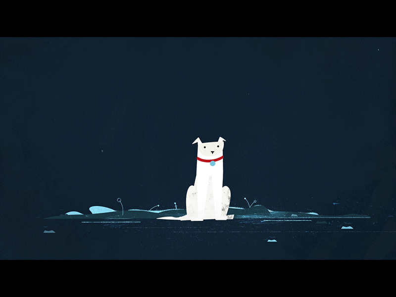 Battersea | Animal cruelty sentences are a joke animal cruelty dark domestic gif illustration prison sentence texture violence