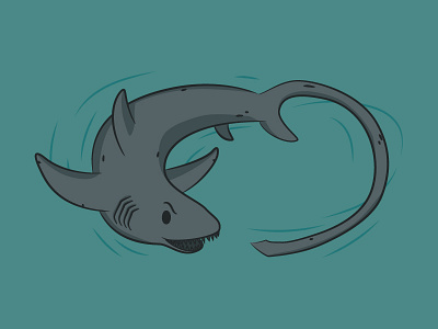 Thresher Shark character fish gillustrations illustration shark vector