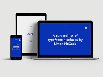 Niceface - Responsive Website Design fonts typography ui web design webflow website website design
