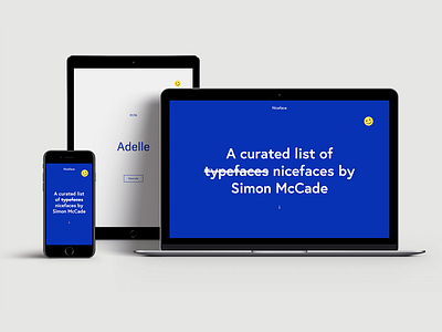Niceface - Responsive Website Design fonts typography ui web design webflow website website design