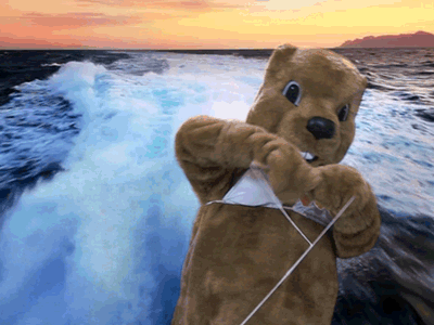 WU is on Giphy beach gif giphy groundhog summer waterski weather weather underground