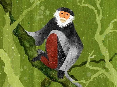 Red-shanked Douc animals asian illustration jungle monkeys orange face