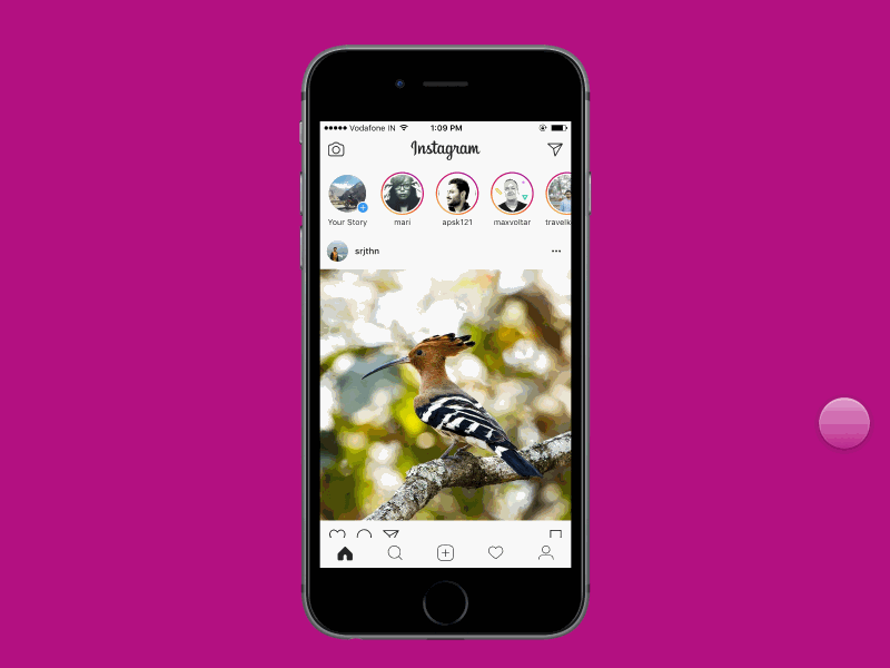 Instagram Stories Prototype animation app framer framer100 framerjs gif instagram interaction ios prototype states stories