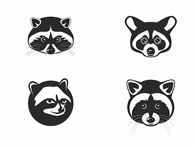 New logo concept black logotype racoon white