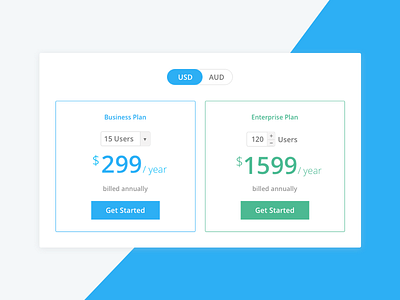 Pricing Plan flat plans pricing sketch ui