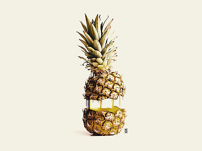 pine art photoshop pineapple spongebob tropical