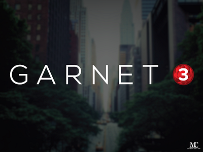 GARNET 3 Identity branding corporate identity identity logo logo design visual identity