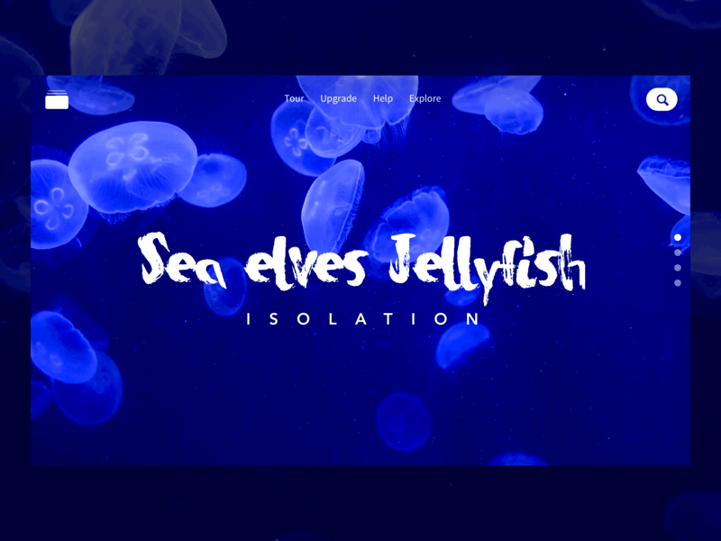 Marine animal app blog blue clean colors grid type typography