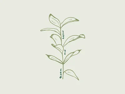 Bloom & Grow botanical illustration illustration leaves plant