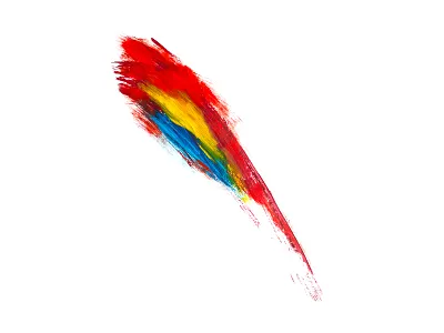 Scarlet Maccaw art brush maccaw pencil scarlet strokes