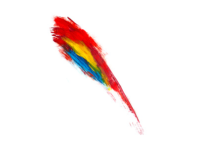 Scarlet Maccaw art brush maccaw pencil scarlet strokes