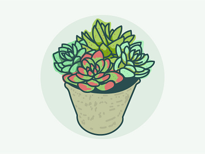 Succulent cool colors nature illustration plants succulents