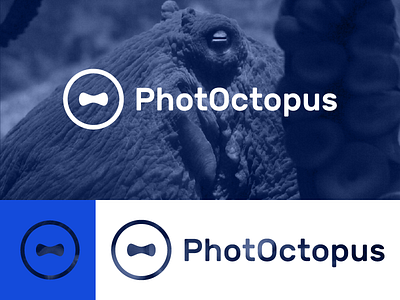 PhotOctopus brand eye identity iris o octopus photo photographer underwater