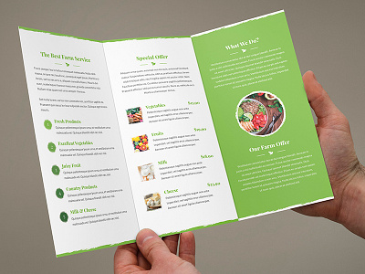 Brochure – Organic Food Tri-Fold brochure brochure tri fold business corporate eco ecology food ecology food menu farm farm offer organic food photoshop template