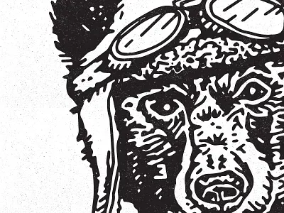 Bear Preview bear black carolina design flight illustration logo north carolina pilot