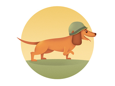 War Dog army circle dachshund dog puppy soldier wiener dog