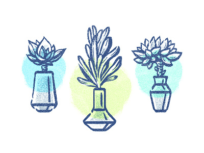 Plants botanical draw icon illustration pattern plant sketch succulent