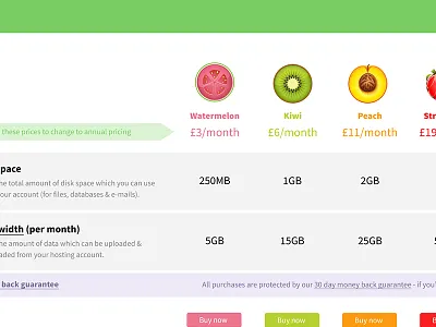 NiftyHost Packages niftyhost