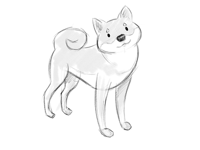 Shiba drawing grayscale photoshop shiba sketch